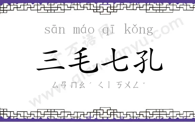 三毛七孔 三毛七孔