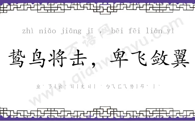 鸷鸟将击,卑飞敛翼 鸷鸟将击,卑飞敛翼