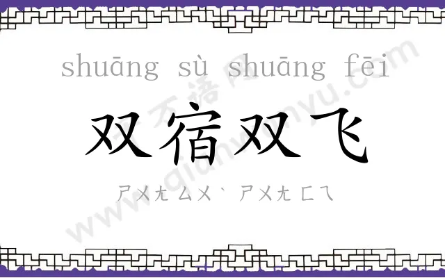 双宿双飞 双宿双飞