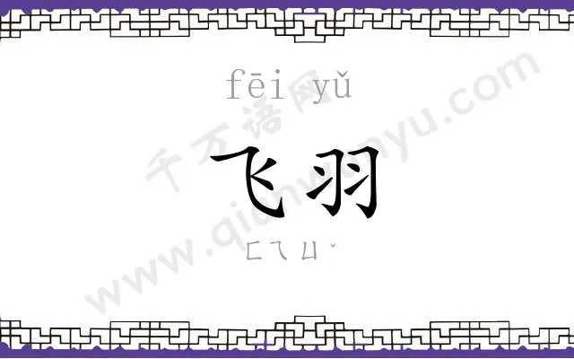 飞羽 飞羽