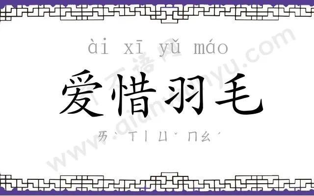 爱惜羽毛 爱惜羽毛