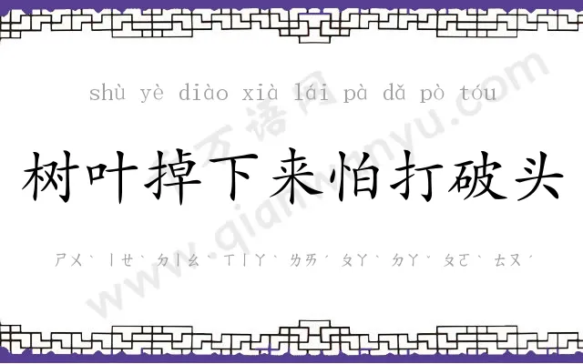 树叶掉下来怕打破头 树叶掉下来怕打破头