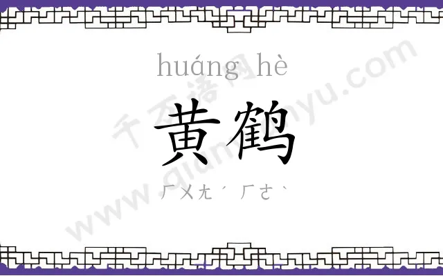 黄鹤 黄鹤