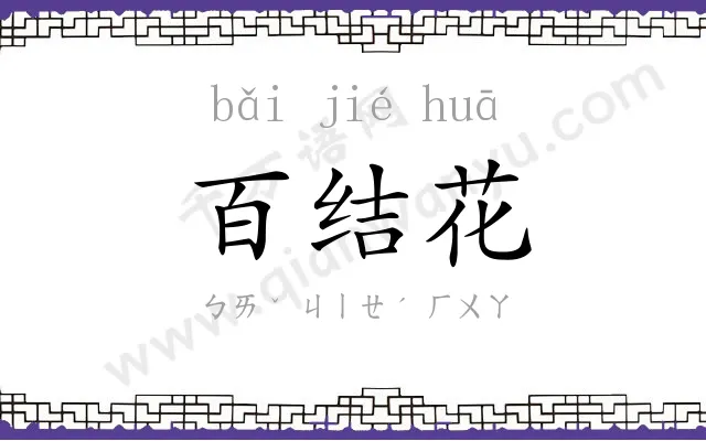 百结花 百结花