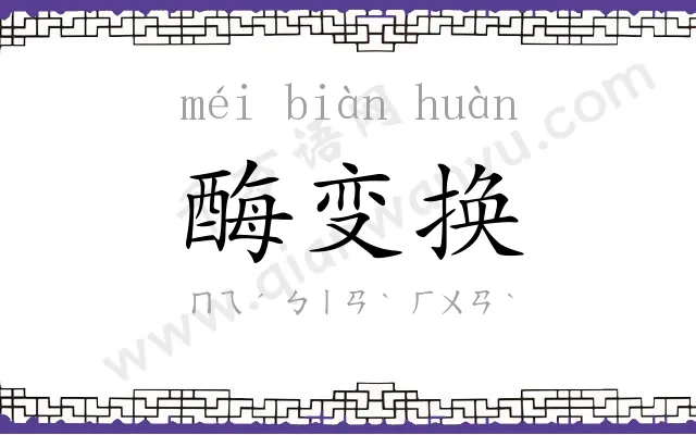 酶变换 酶变换