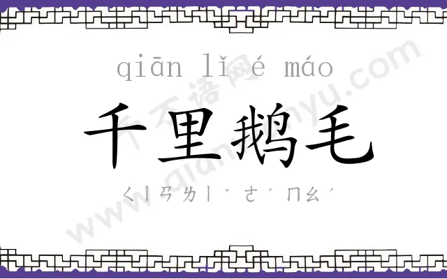 千里鹅毛 千里鹅毛