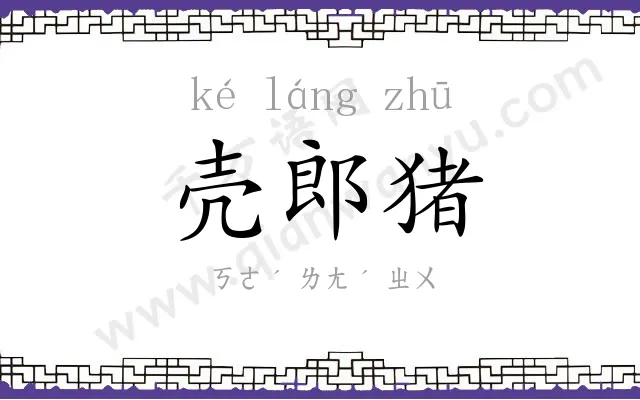 壳郎猪 壳郎猪