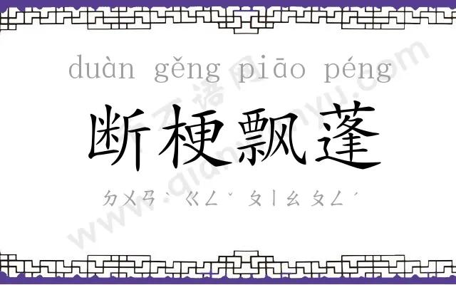 断梗飘蓬 断梗飘蓬