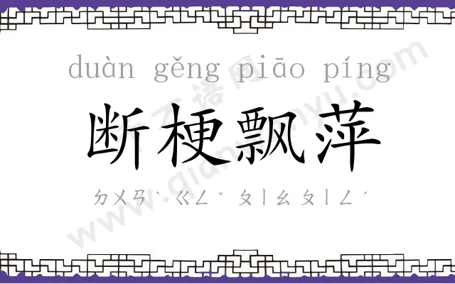 断梗飘萍 断梗飘萍