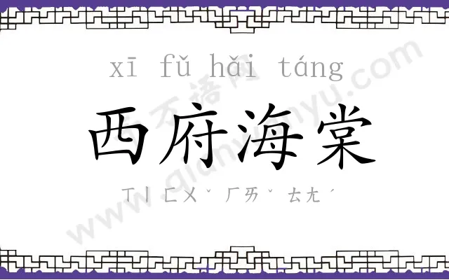 西府海棠 西府海棠