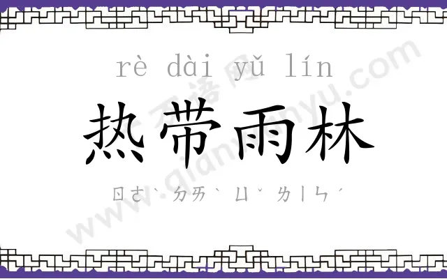 热带雨林 热带雨林