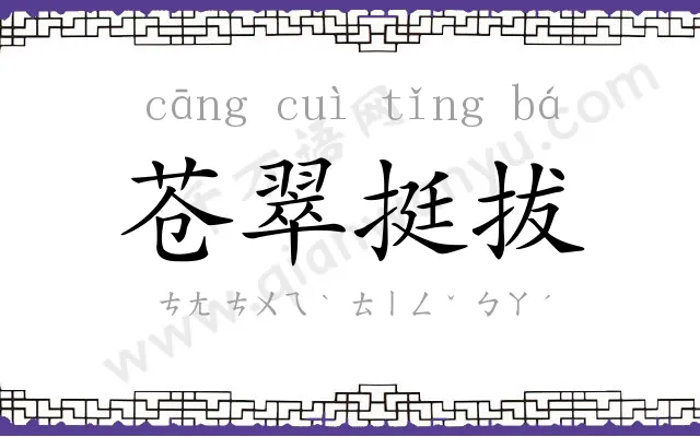 苍翠挺拔 苍翠挺拔