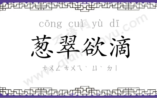 葱翠欲滴 葱翠欲滴