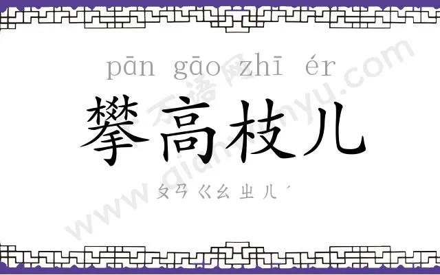攀高枝儿 攀高枝儿