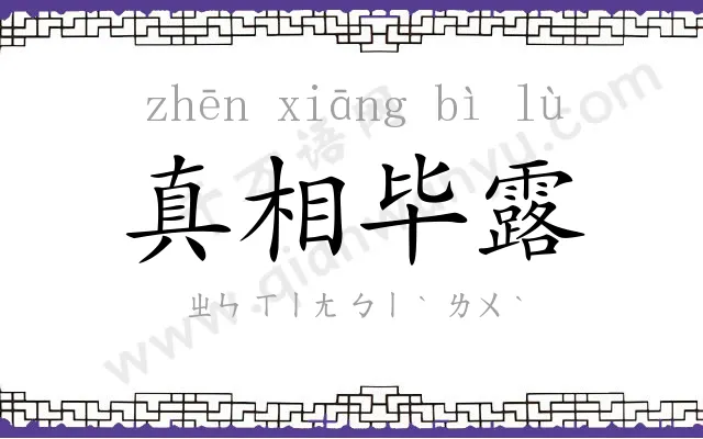 真相毕露 真相毕露