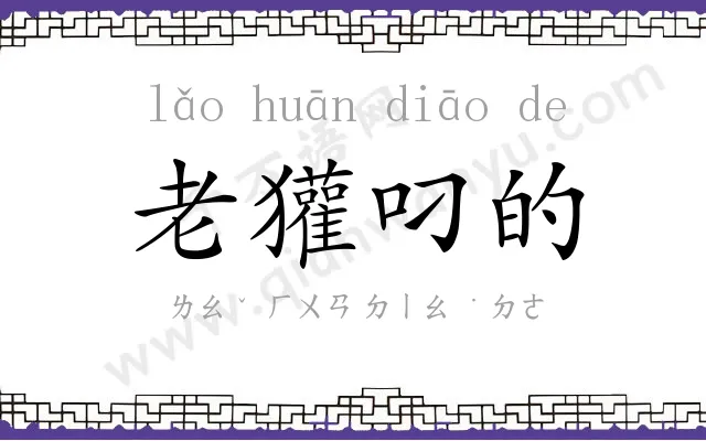 老獾叼的 老獾叼的