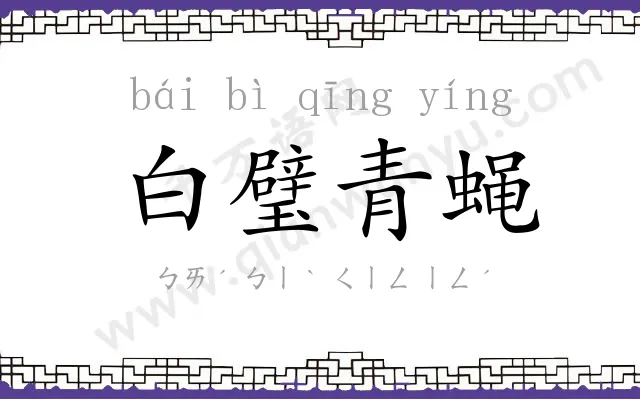 白璧青蝇 白璧青蝇