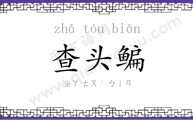 查头鳊 查头鳊
