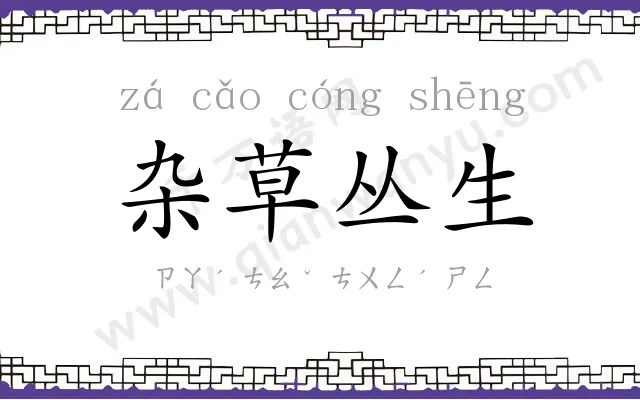 杂草丛生 杂草丛生