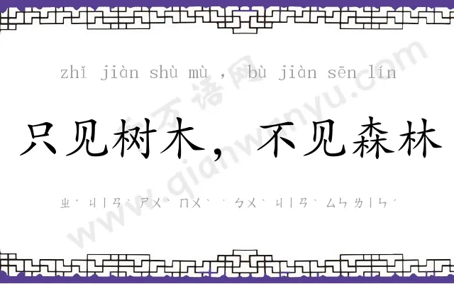 只见树木,不见森林 只见树木,不见森林