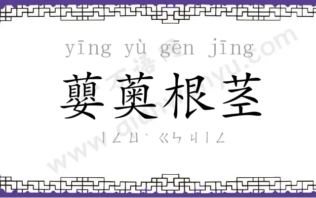 蘡薁根茎 蘡薁根茎