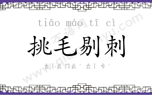 挑毛剔刺 挑毛剔刺