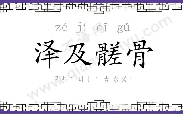 泽及髊骨 泽及髊骨