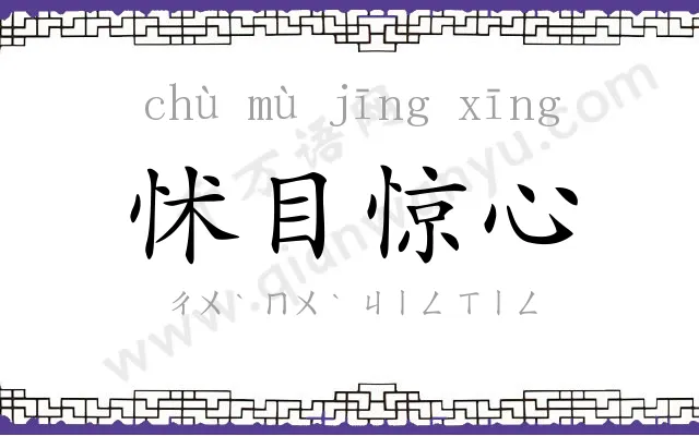 怵目惊心 怵目惊心