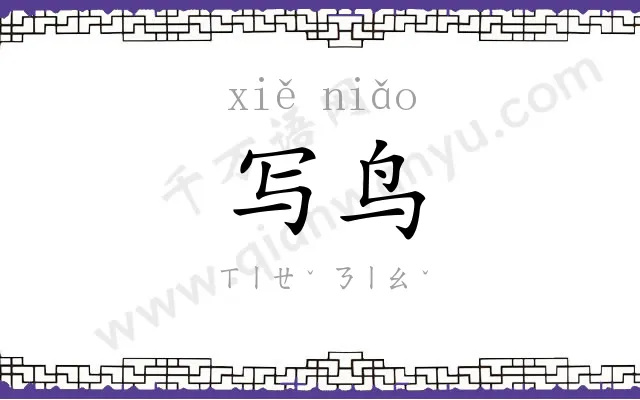 写鸟