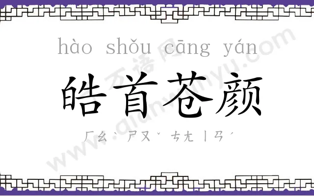 皓首苍颜 皓首苍颜