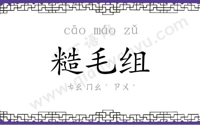 糙毛组 糙毛组