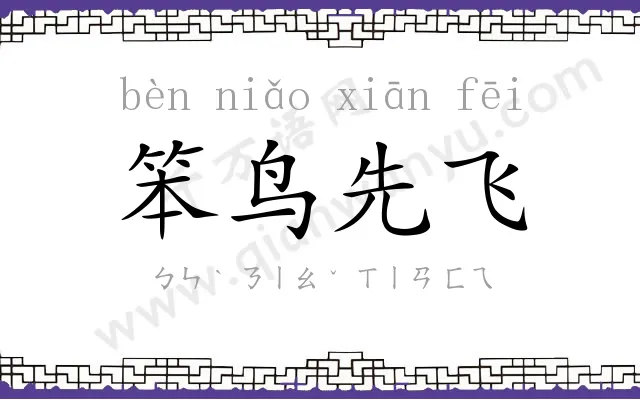 笨鸟先飞 笨鸟先飞