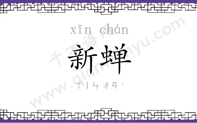新蝉