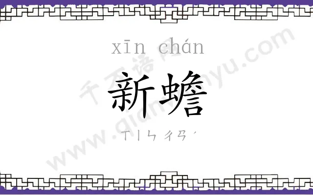 新蟾