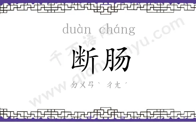 断肠 断肠