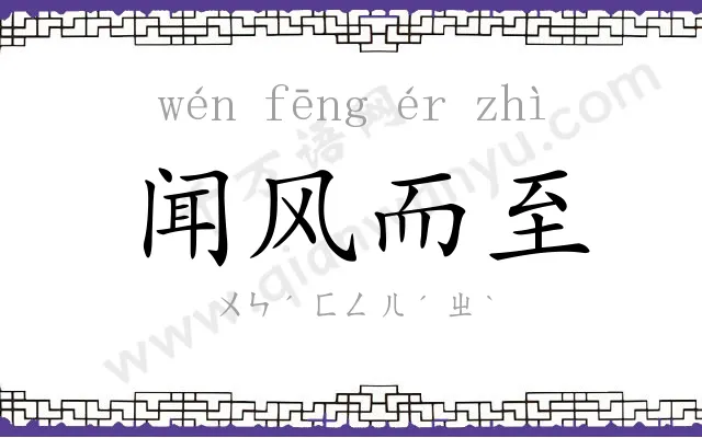 闻风而至 闻风而至