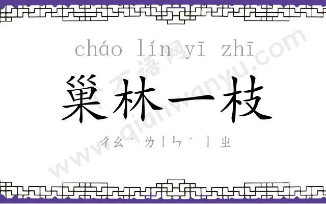 巢林一枝 巢林一枝