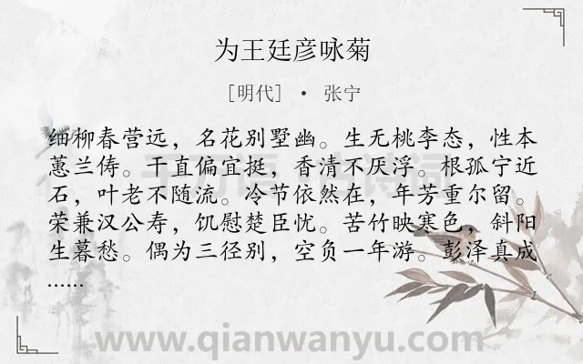 《为王廷彦咏菊》作者是明代的张宁.诗词全文约共120字.