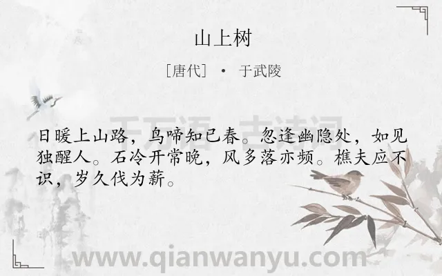 《山上树》作者是唐代的于武陵.本诗词属于桂花类诗词.诗词全文约共48字.