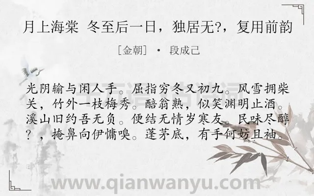 《月上海棠 冬至后一日，独居无?，复用前韵》作者是金朝的段成己.诗词全文约共80字.