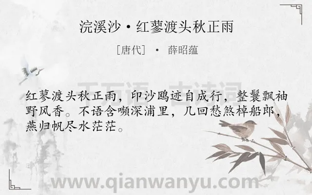 《浣溪沙·红蓼渡头秋正雨》作者是唐代的薛昭蕴.本诗词属于宋词三百首;女子类诗词.诗词全文约共48字. 《浣溪沙·红蓼渡头秋正雨》作者是唐代的薛昭蕴.本诗词属于宋词三百首;女子类诗词.诗词全文约共48字.