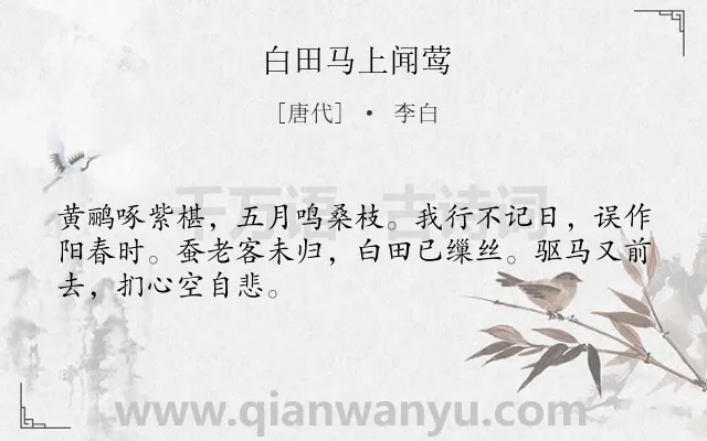 《白田马上闻莺》作者是唐代的李白.本诗词属于夏天;写景;怀才不遇;羁旅类诗词.诗词全文约共48字. 《白田马上闻莺》作者是唐代的李白.本诗词属于夏天;写景;怀才不遇;羁旅类诗词.诗词全文约共48字.