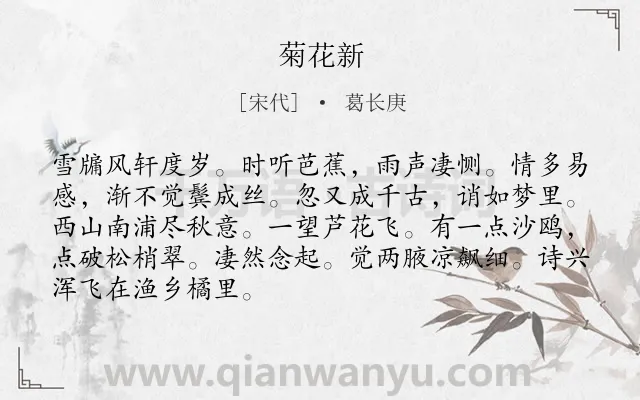 《菊花新》作者是宋代的葛长庚.诗词全文约共88字.