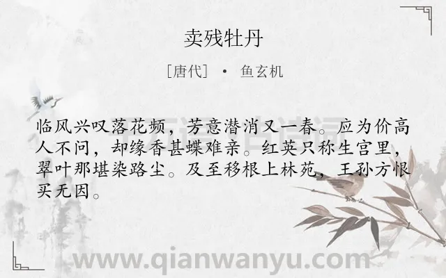 《卖残牡丹》作者是唐代的鱼玄机.本诗词属于咏物;花;感慨类诗词.诗词全文约共64字. 《卖残牡丹》作者是唐代的鱼玄机.本诗词属于咏物;花;感慨类诗词.诗词全文约共64字.