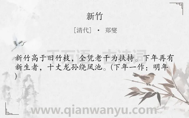 《新竹》作者是清代的郑燮.本诗词属于咏物;竹子;寓人;老师类诗词.诗词全文约共41字. 《新竹》作者是清代的郑燮.本诗词属于咏物;竹子;寓人;老师类诗词.诗词全文约共41字.