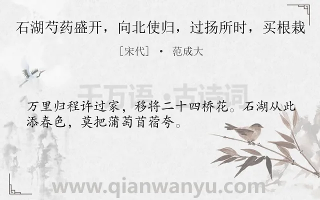 《石湖芍药盛开，向北使归，过扬所时，买根栽》作者是宋代的范成大.诗词全文约共32字.