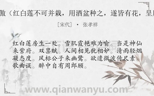 《渔家傲（红白莲不可并栽，用酒盆种之，遂皆有花，呈周倅）》作者是宋代的张孝祥.诗词全文约共72字.