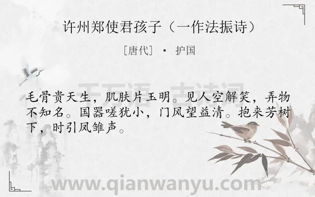 《许州郑使君孩子（一作法振诗）》作者是唐代的护国.诗词全文约共48字.