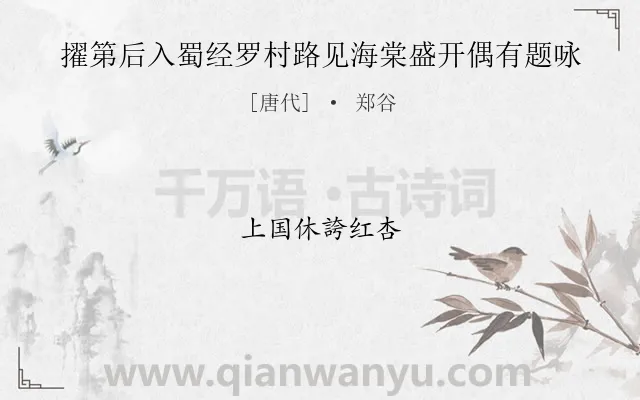 《擢第后入蜀经罗村路见海棠盛开偶有题咏》作者是唐代的郑谷.诗词全文约共6字.