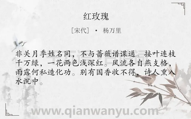 《红玫瑰》作者是宋代的杨万里.诗词全文约共64字.